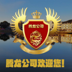 腾龙游戏Logo